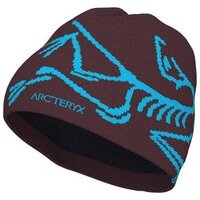 2027 Arcteryx Bird Head Toque Unisex