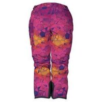 2023 The North Face Plus Freedom Insulated Pant Womens