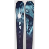 2022 Praxis SND 176 Mens