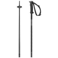 2026 Salomon Polar Unisex