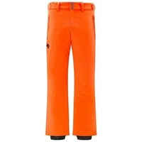 2025 Descente Roscoe Insulated Pants Mens