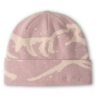 2025 Arcteryx Grotto_Toque Unisex