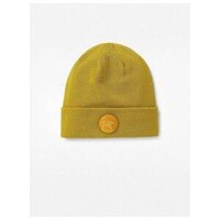 2023 Arcteryx Bird Patch Toque Unisex