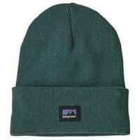 2024 Patagonia Everyday Beanie Unisex