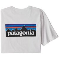 2024 Patagonia P-6 Logo Responsibili-Tee Mens