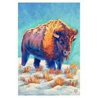 2023 Powder7 Bison Print
