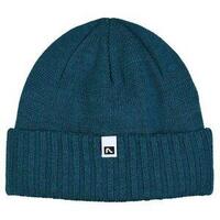 2023 Flylow Forecaster Beanie Unisex